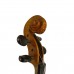 Firefeel S-14644 Violina